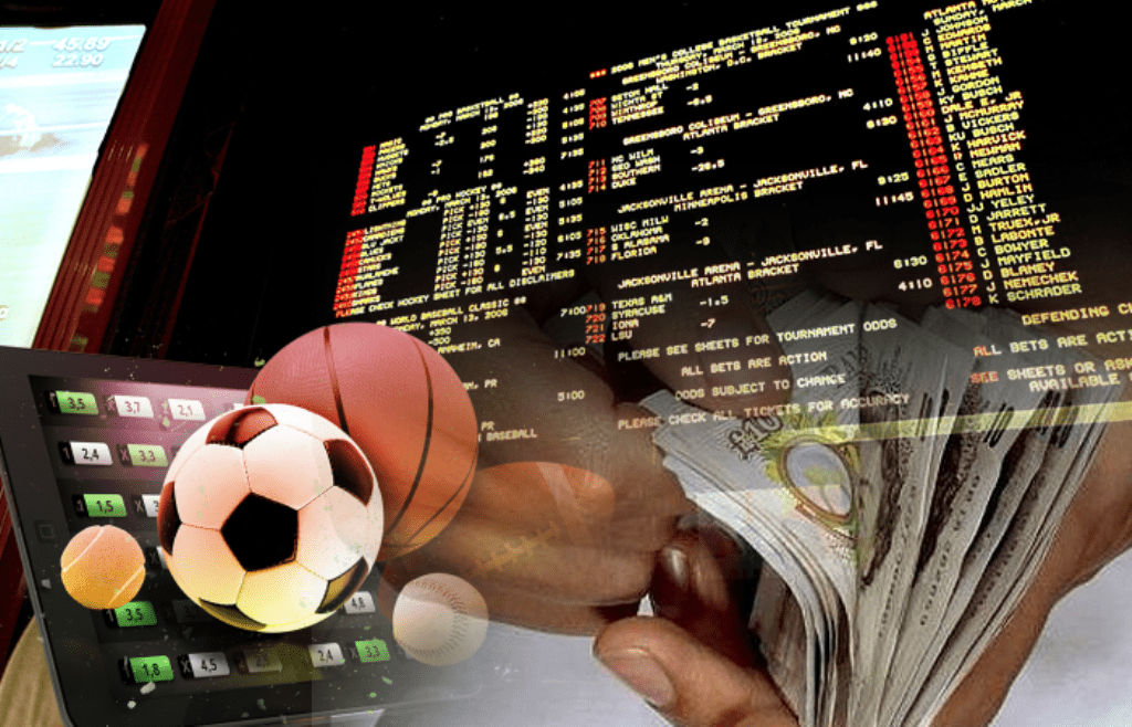 What Is The Importance Of Online Sports Betting In Your Life?